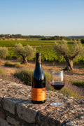 Domaie de Roquevignan "Cuvée Carvi" - Côtes du Rhône - AOC Rouge