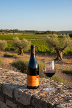 Domaie de Roquevignan "Cuvée Carvi" - Côtes du Rhône - AOC Rouge