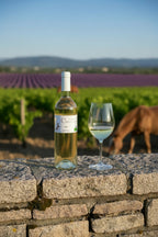 Domaine de Cancerilles "Famille Garcia" - Vin du Pays du Var - IGP Blanc - BIO